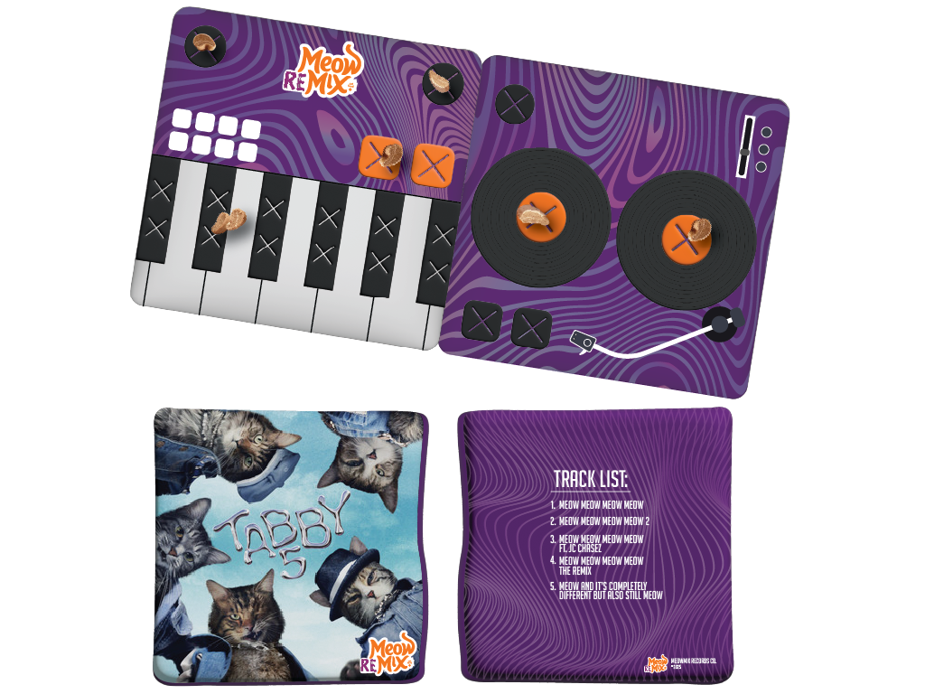 Tabby5 Record Burrow Toy
